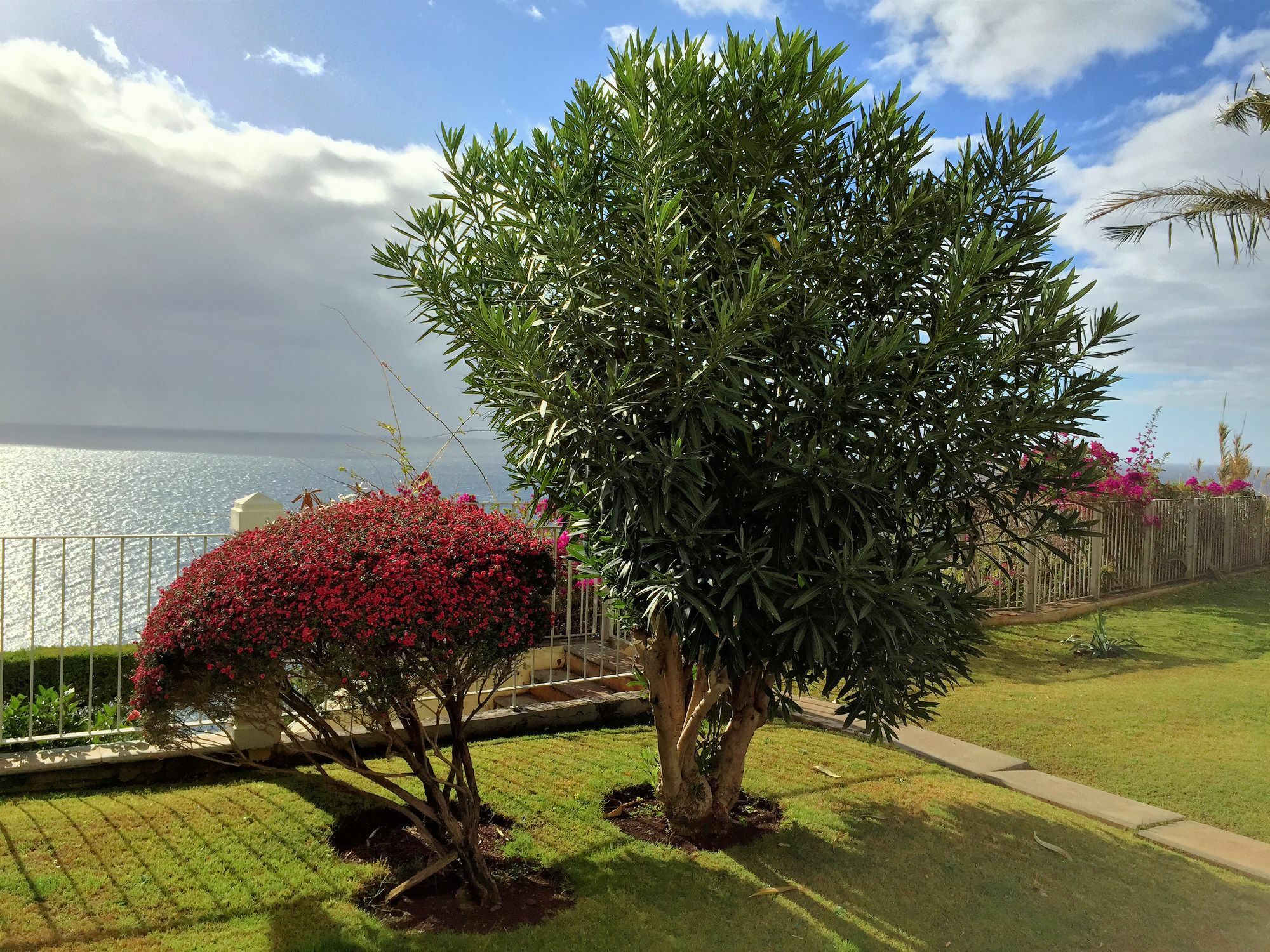 Finest Rentals - Beachfront Penthouse Funchal (Madeira) Exterior foto